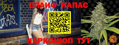 стаф Рязань