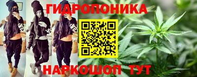стаф Рязань