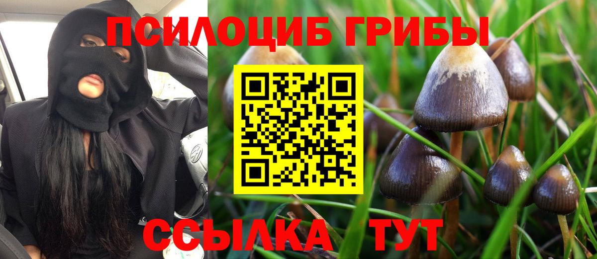 Псилоцибиновые грибы Magic Shrooms Саяногорск