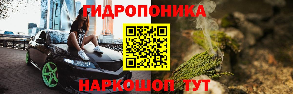 Бошки марихуана OG Kush Саяногорск